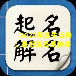 2024年丑牛运势  ：是惊喜还是惊吓